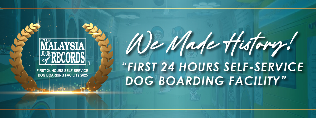 24-Hour Self-Service Dog Boarding Miri